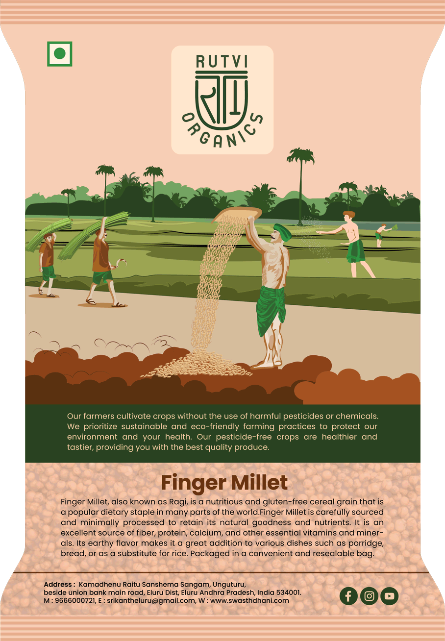 17.Finger Millet Front